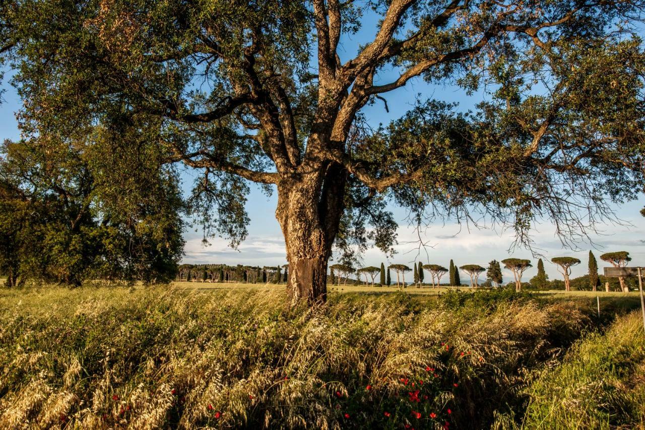 Refugium Countryhouse Podere Cernaia 外观 照片